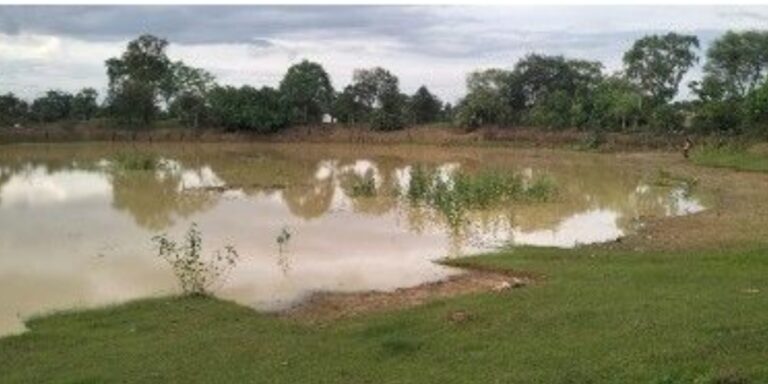 खेलते खेलते चार बच्चे चले गए डबरी में, चारों की डूबने से मौत
