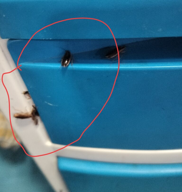 सिम्स :: मरीज और परिजन हो जाए सावधान, फर्श से लेकर अर्श तक बीमारी ही बीमारी