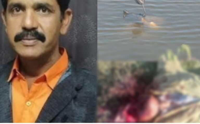 बेड बुधवार : तीन संदिग्ध मौत से बिलासपुर में मचा कोहराम, सकरी, कोनी एवं सीपत थाना में एक ही रात हुई मौतें