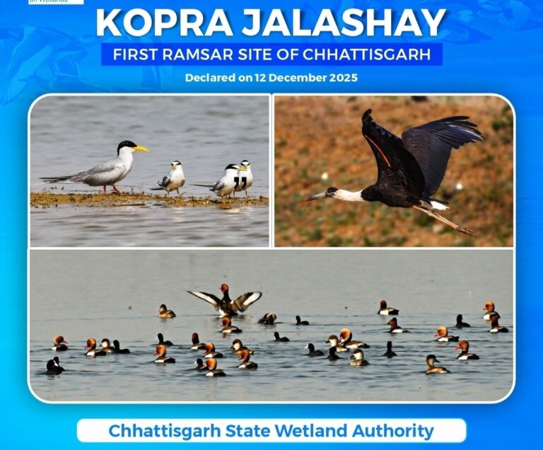 कोपरा जलाशय :  राज्य का पहला रामसर साइट घोषित, बधाई देने लगा तांता