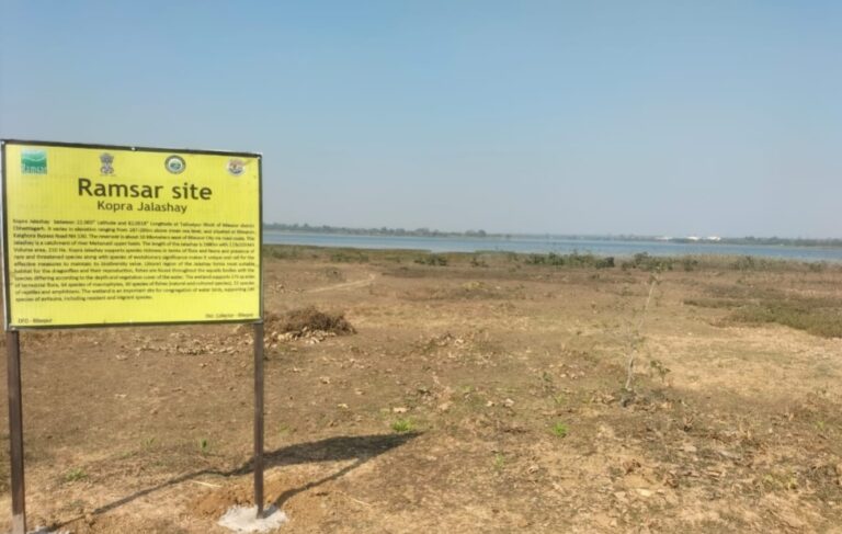 कोपरा जलाशय में मछली मारने पर लगा प्रतिबंध, पकड़े जाने पर होगी जेल