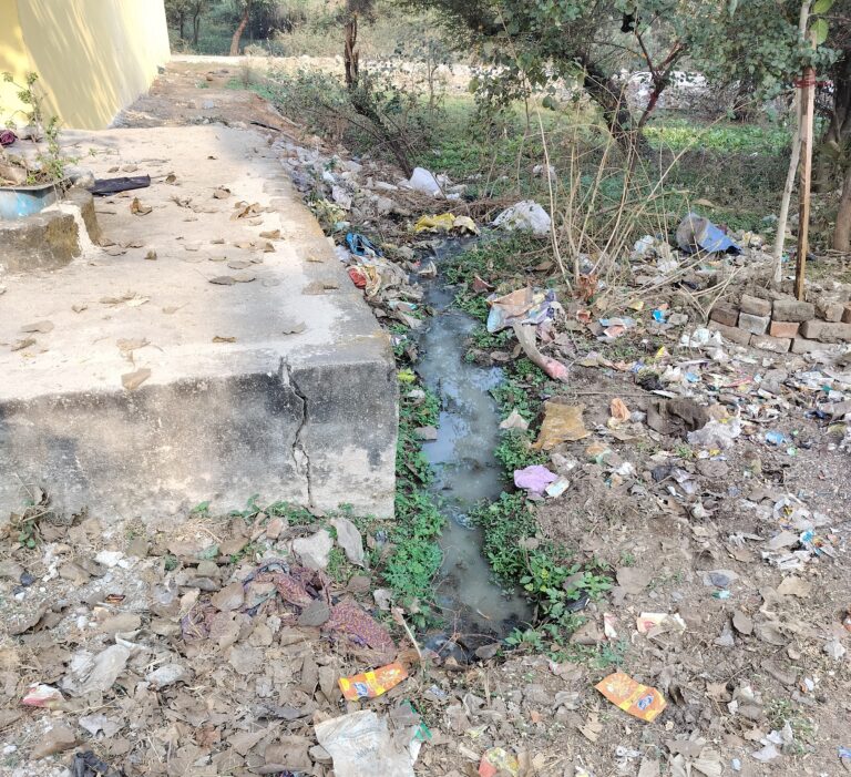 *सत्ता बदली पर नहीं बदली दीनदयाल कालोनी मंगला की तस्वीर*