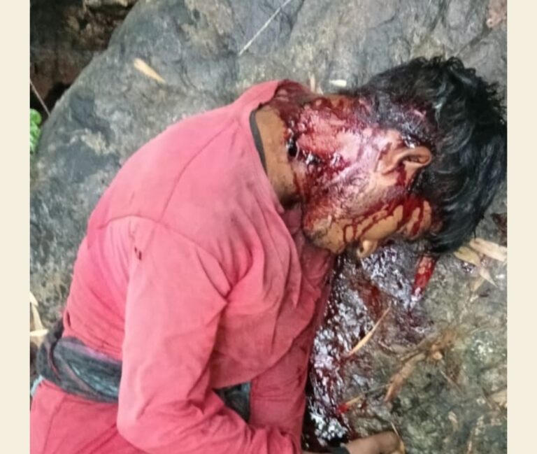 करील पुटू के चक्कर में जंगल गए युवक पर शेर का हमला, मौत